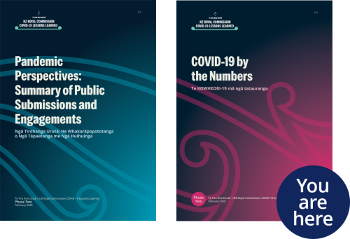 2 Report Covers - Pandemic Perspetives and Covid by the numbers, You are here label