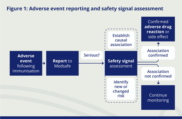 Figure 1: Adverse event reporting and safety signal assessment