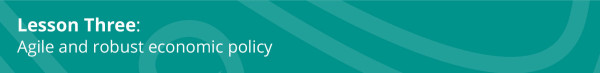 Lesson Three: Agile and robust economic policy