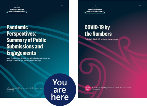 2 Report covers showing, Main report 2, Vol 1 and Vol 2