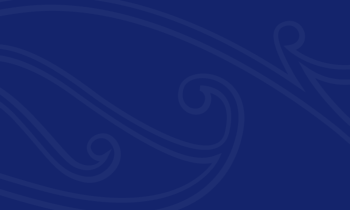 Main Report decorative image, dark blue background with motif overlay