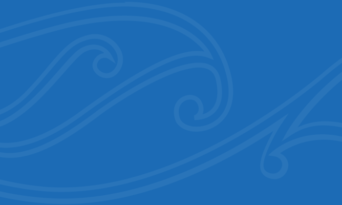 Main Report decorative image, blue background with motif overlay