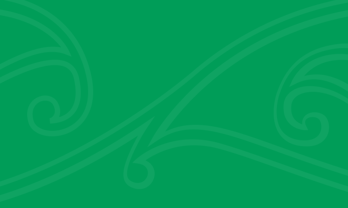 Main Report decorative image, green background with motif overlay